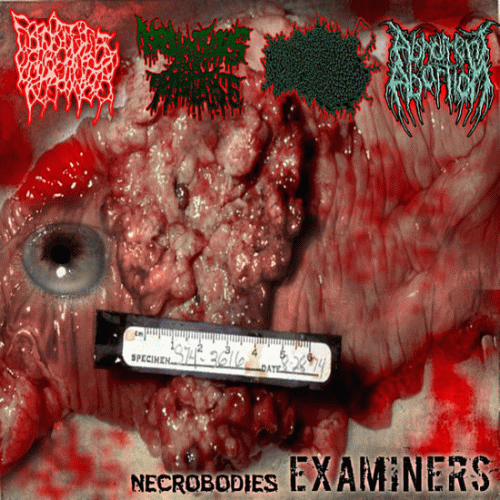 Necrobodies Examiners